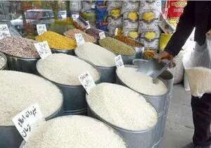 واردات برنج ۵۰ درصد کاهش یافت