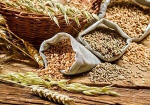 قزاقستان منبع جدید تامین غلات